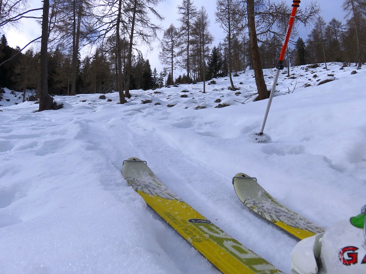Foto: Andreas Koller / Skitour / Platschalmen und Hühnerleitennock (2182m) / 25.01.2023 00:50:23