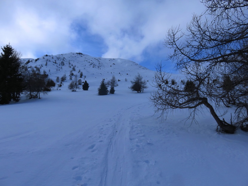 Foto: Andreas Koller / Skitour / Platschalmen und Hühnerleitennock (2182m) / 25.01.2023 00:49:01