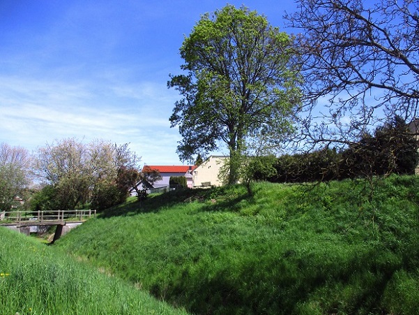 Foto: Andreas Koller / Wandertour / Leiser Hügeltour auf den Rosenberg (352m) / Ausgangspunkt Schletz / 19.02.2023 18:46:29