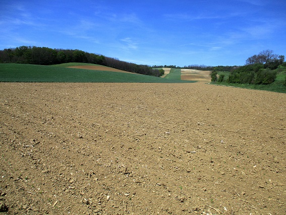 Foto: Andreas Koller / Wandertour / Leiser Hügeltour auf den Rosenberg (352m) / 19.02.2023 18:45:21