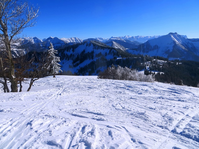 Foto: Andreas Koller / Skitour / Anzenberghöhe Nordwestgrat (1469m) / 09.03.2023 00:12:39