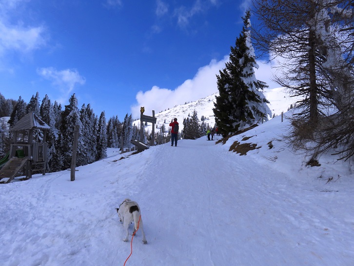 Foto: Andreas Koller / Schneeschuhtour / Panorama-Schneeschuhtour auf den Dobratsch (2166m) / 18.04.2023 01:39:54