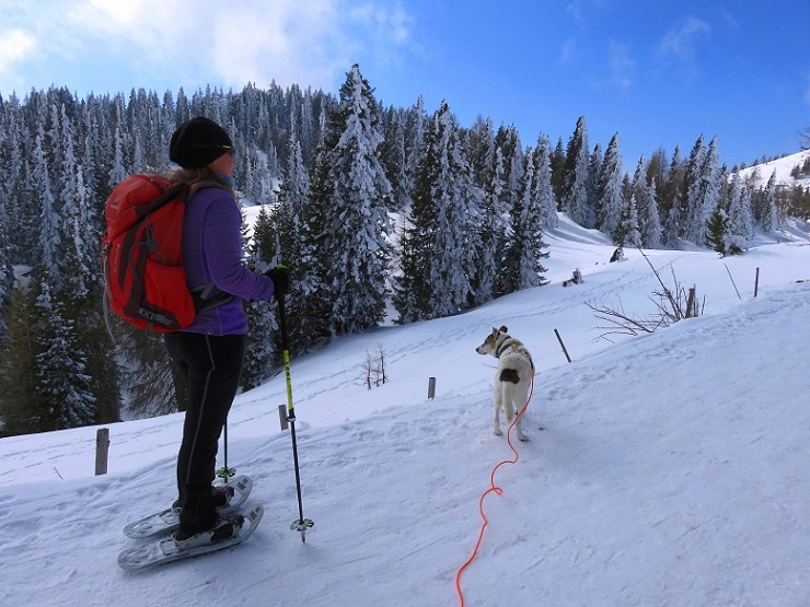 Foto: Andreas Koller / Schneeschuhtour / Panorama-Schneeschuhtour auf den Dobratsch (2166m) / 18.04.2023 01:39:43