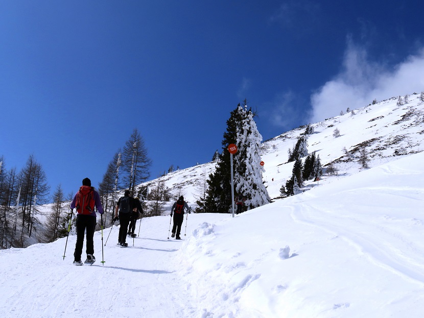 Foto: Andreas Koller / Schneeschuhtour / Panorama-Schneeschuhtour auf den Dobratsch (2166m) / 18.04.2023 01:39:25