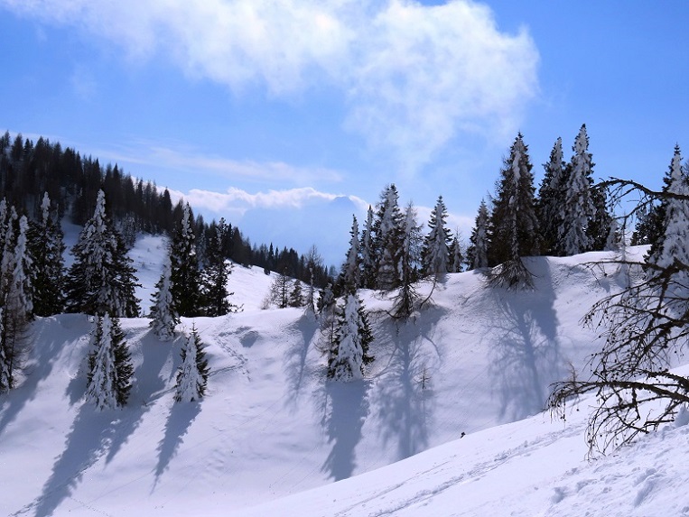 Foto: Andreas Koller / Schneeschuhtour / Panorama-Schneeschuhtour auf den Dobratsch (2166m) / 18.04.2023 01:39:19
