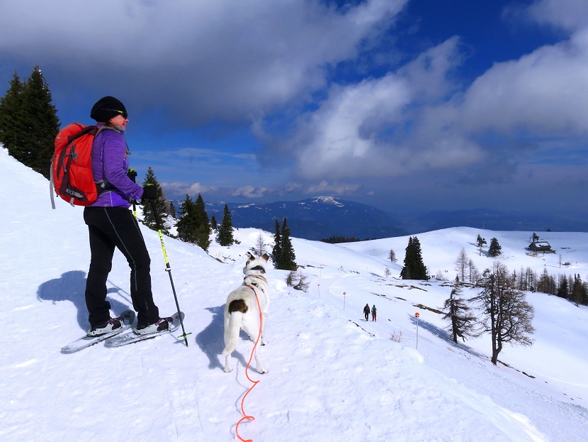 Foto: Andreas Koller / Schneeschuhtour / Panorama-Schneeschuhtour auf den Dobratsch (2166m) / 18.04.2023 01:38:49