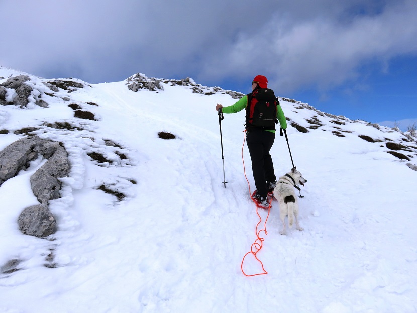 Foto: Andreas Koller / Schneeschuhtour / Panorama-Schneeschuhtour auf den Dobratsch (2166m) / 18.04.2023 01:37:40