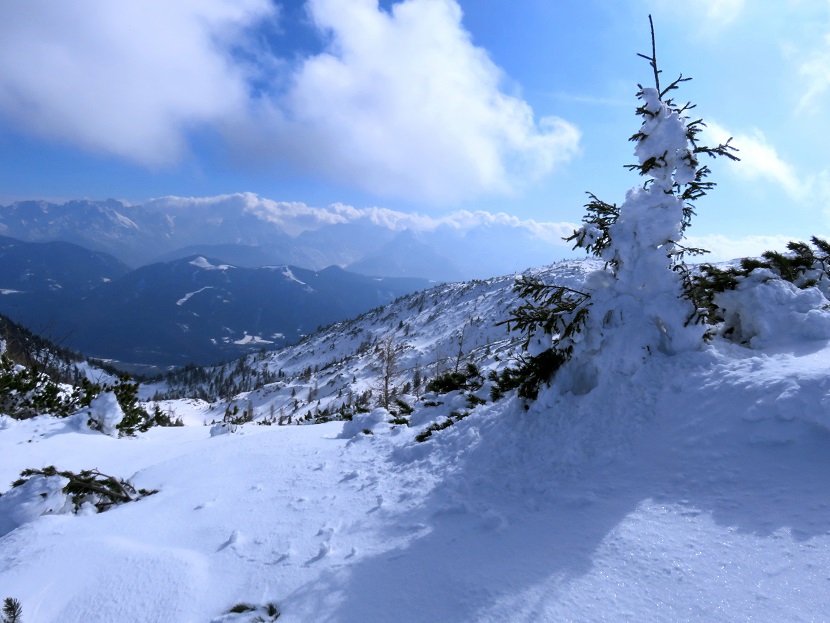 Foto: Andreas Koller / Schneeschuhtour / Panorama-Schneeschuhtour auf den Dobratsch (2166m) / 18.04.2023 01:36:28