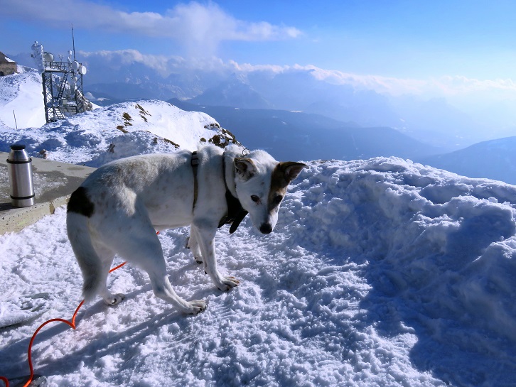 Foto: Andreas Koller / Schneeschuhtour / Panorama-Schneeschuhtour auf den Dobratsch (2166m) / 18.04.2023 01:33:17