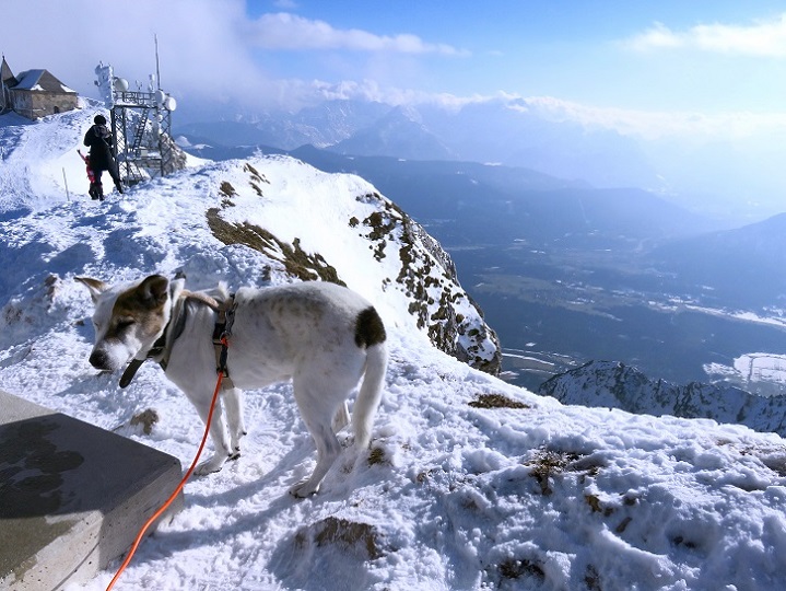 Foto: Andreas Koller / Schneeschuhtour / Panorama-Schneeschuhtour auf den Dobratsch (2166m) / 18.04.2023 01:32:23