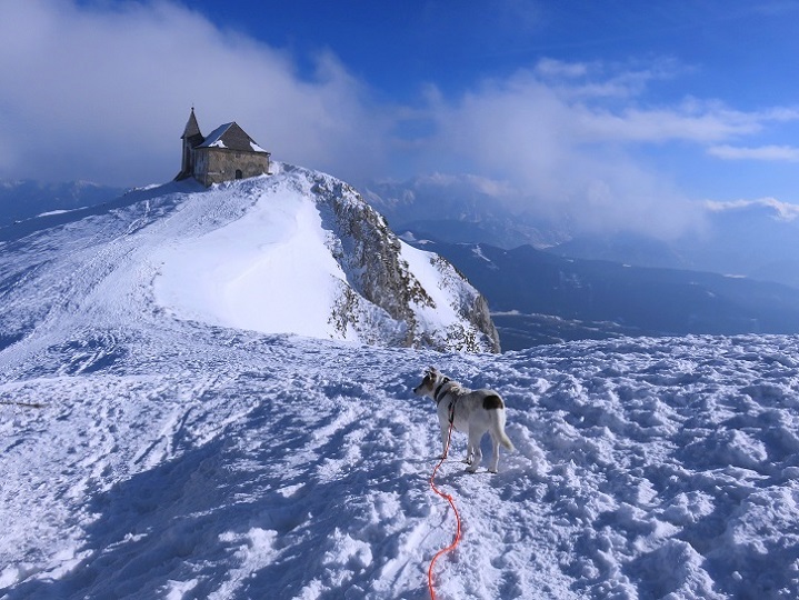 Foto: Andreas Koller / Schneeschuhtour / Panorama-Schneeschuhtour auf den Dobratsch (2166m) / Abstieg vom Dobratsch-Gipfel / 18.04.2023 01:32:01