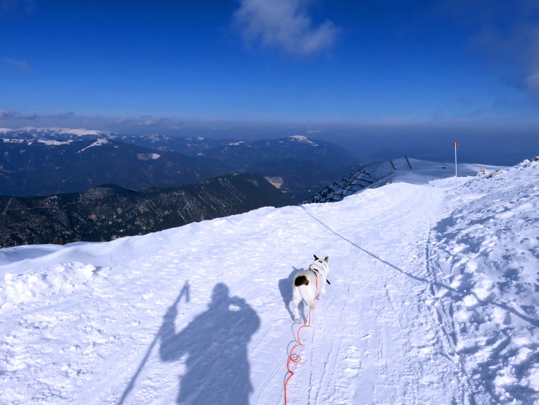 Foto: Andreas Koller / Schneeschuhtour / Panorama-Schneeschuhtour auf den Dobratsch (2166m) / 18.04.2023 01:31:26