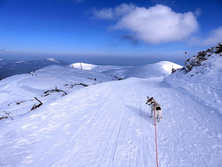 Foto: Andreas Koller / Schneeschuhtour / Panorama-Schneeschuhtour auf den Dobratsch (2166m) / 18.04.2023 01:31:17