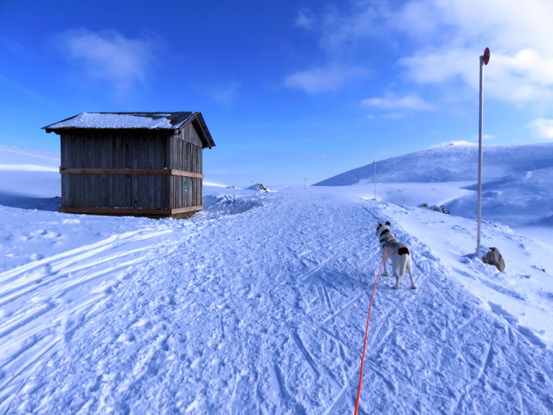 Foto: Andreas Koller / Schneeschuhtour / Panorama-Schneeschuhtour auf den Dobratsch (2166m) / 18.04.2023 01:30:46