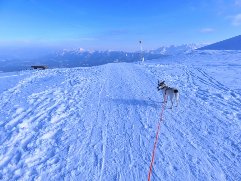 Foto: Andreas Koller / Schneeschuhtour / Panorama-Schneeschuhtour auf den Dobratsch (2166m) / 18.04.2023 01:30:38
