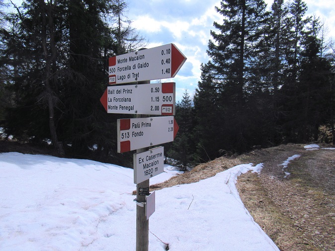 Foto: Andreas Koller / Klettersteigtour / Gantkofel - Steig (1868m) / 26.04.2023 02:09:11