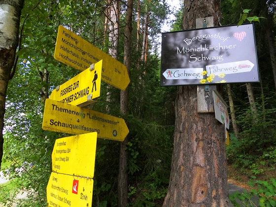 Foto: Andreas Koller / Wandertour / Gemütliche Grenzwanderung auf den Niederwechsel (1669m) / 04.05.2023 01:03:53