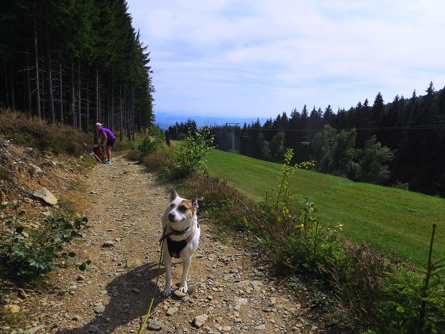 Foto: Andreas Koller / Wandertour / Gemütliche Grenzwanderung auf den Niederwechsel (1669m) / 04.05.2023 01:03:33