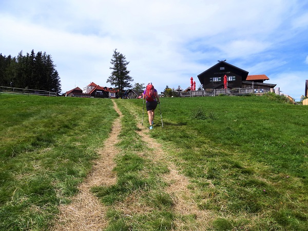 Foto: Andreas Koller / Wandertour / Gemütliche Grenzwanderung auf den Niederwechsel (1669m) / 04.05.2023 01:03:28