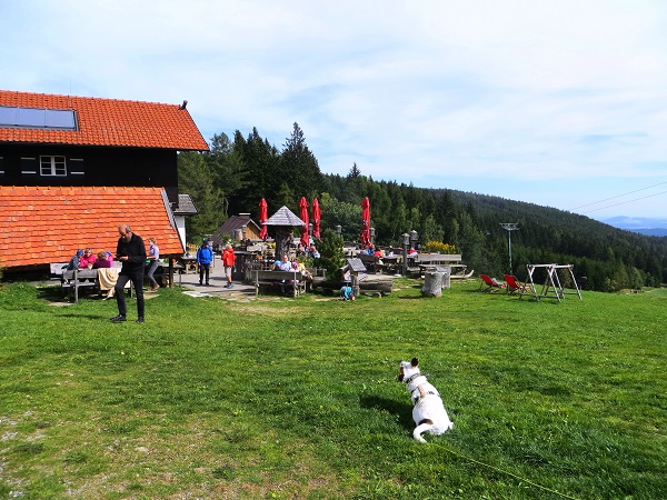 Foto: Andreas Koller / Wandertour / Gemütliche Grenzwanderung auf den Niederwechsel (1669m) / 04.05.2023 01:03:22