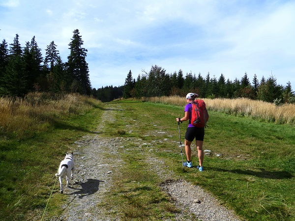 Foto: Andreas Koller / Wandertour / Gemütliche Grenzwanderung auf den Niederwechsel (1669m) / 04.05.2023 01:03:04