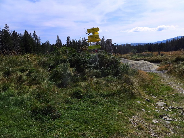 Foto: Andreas Koller / Wandertour / Gemütliche Grenzwanderung auf den Niederwechsel (1669m) / 04.05.2023 01:02:59
