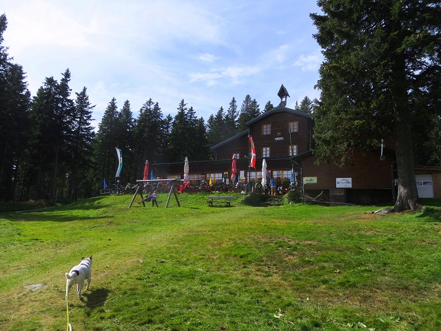 Foto: Andreas Koller / Wandertour / Gemütliche Grenzwanderung auf den Niederwechsel (1669m) / Hallerhaus / 04.05.2023 01:02:53