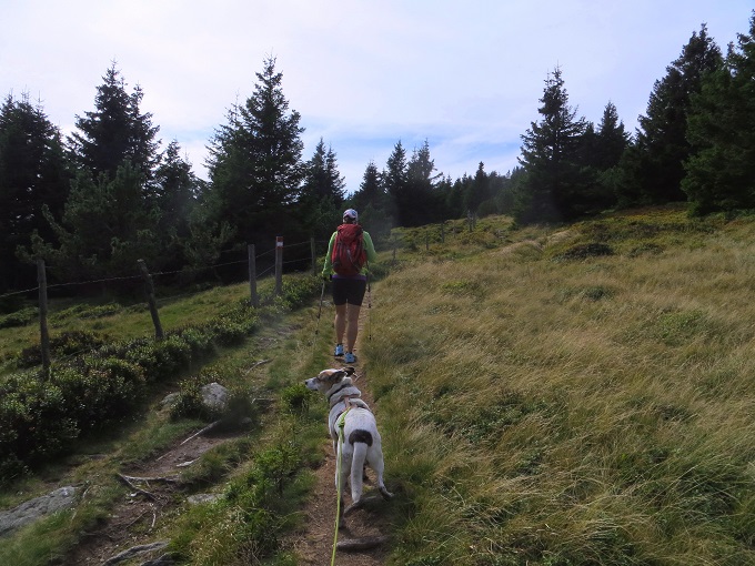 Foto: Andreas Koller / Wandertour / Gemütliche Grenzwanderung auf den Niederwechsel (1669m) / 04.05.2023 01:01:16