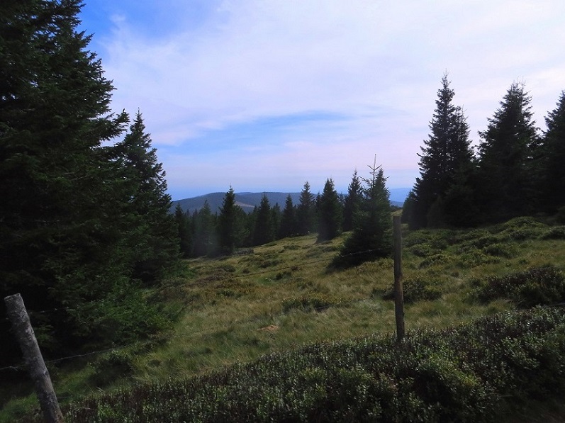 Foto: Andreas Koller / Wandertour / Gemütliche Grenzwanderung auf den Niederwechsel (1669m) / 04.05.2023 01:01:10
