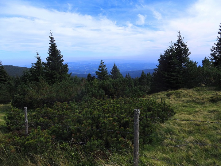 Foto: Andreas Koller / Wandertour / Gemütliche Grenzwanderung auf den Niederwechsel (1669m) / 04.05.2023 01:01:03