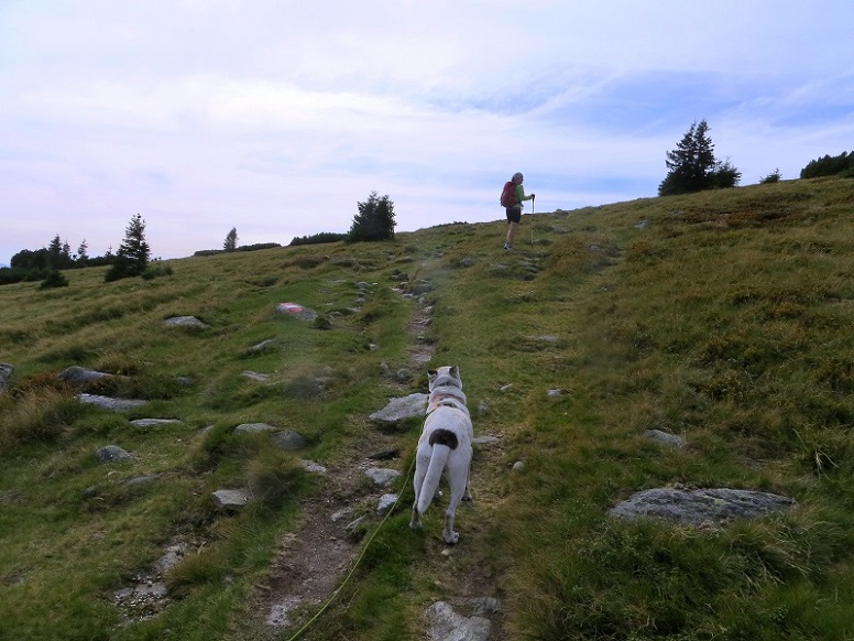 Foto: Andreas Koller / Wandertour / Gemütliche Grenzwanderung auf den Niederwechsel (1669m) / 04.05.2023 01:00:56