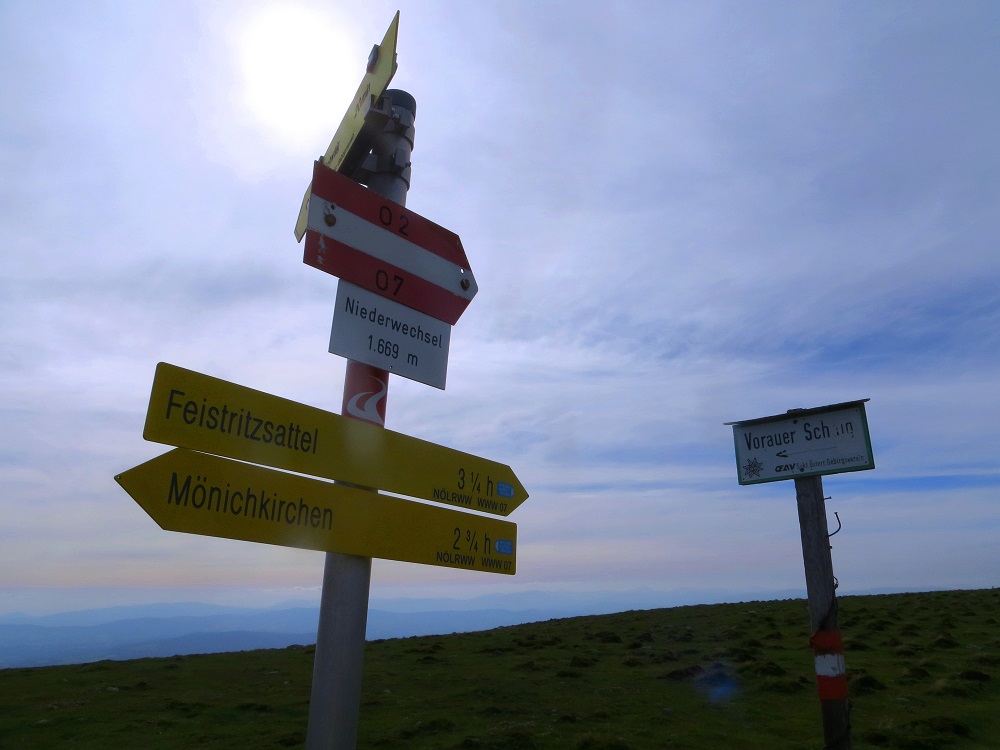 Foto: Andreas Koller / Wandertour / Gemütliche Grenzwanderung auf den Niederwechsel (1669m) / Am Niederwechsel / 04.05.2023 01:00:42