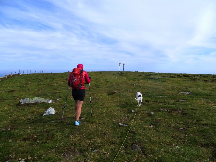 Foto: Andreas Koller / Wandertour / Gemütliche Grenzwanderung auf den Niederwechsel (1669m) / Abstieg vom Niederwechsel / 04.05.2023 00:58:39