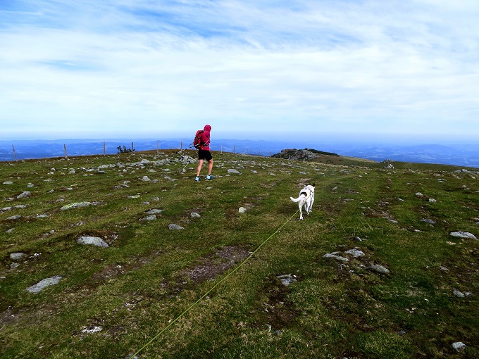 Foto: Andreas Koller / Wandertour / Gemütliche Grenzwanderung auf den Niederwechsel (1669m) / 04.05.2023 00:58:19