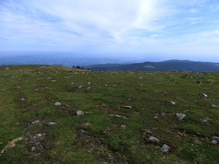 Foto: Andreas Koller / Wandertour / Gemütliche Grenzwanderung auf den Niederwechsel (1669m) / 04.05.2023 00:58:08
