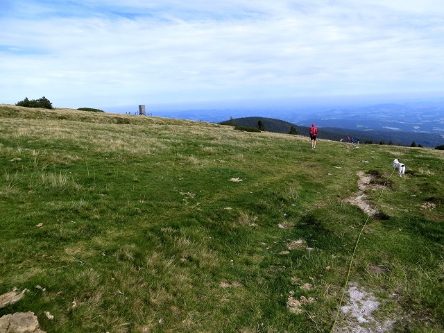 Foto: Andreas Koller / Wandertour / Gemütliche Grenzwanderung auf den Niederwechsel (1669m) / 04.05.2023 00:57:55