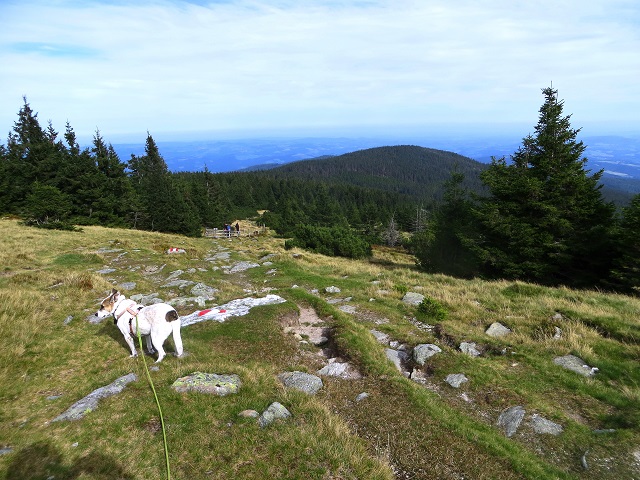 Foto: Andreas Koller / Wandertour / Gemütliche Grenzwanderung auf den Niederwechsel (1669m) / 04.05.2023 00:57:29