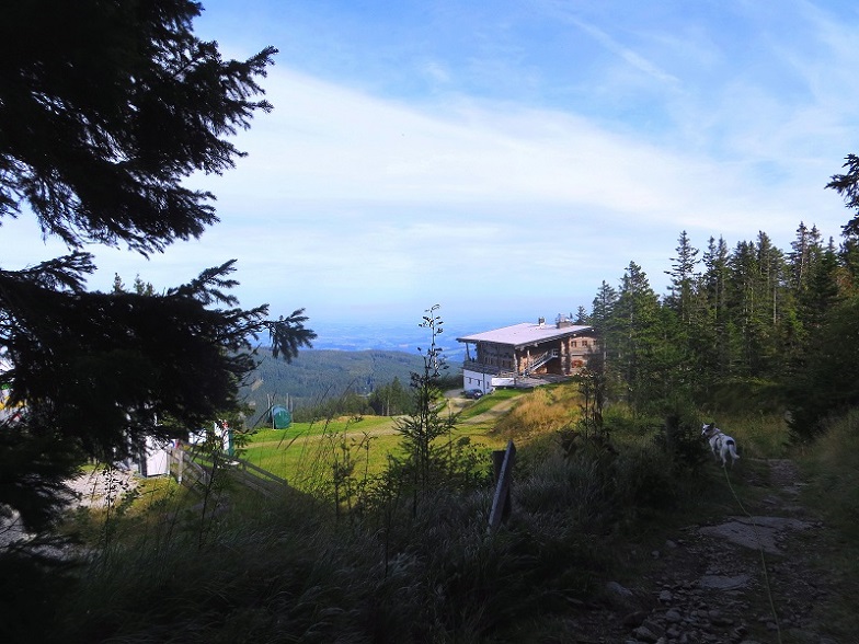 Foto: Andreas Koller / Wandertour / Gemütliche Grenzwanderung auf den Niederwechsel (1669m) / 04.05.2023 00:57:03