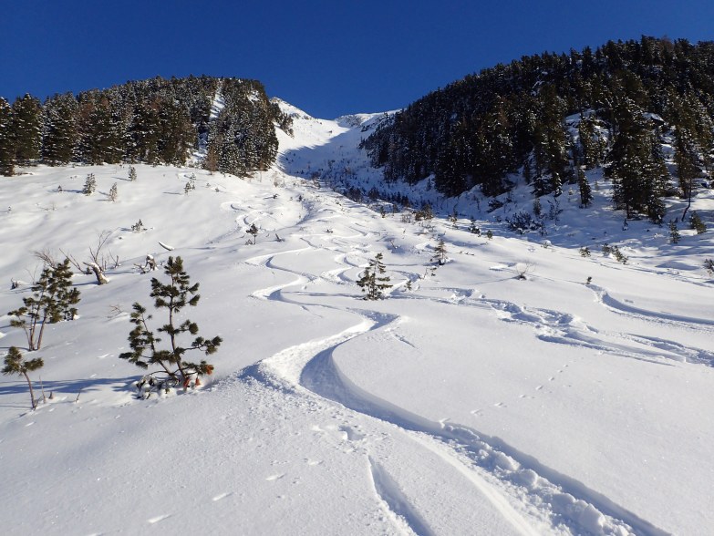 Foto: Manfred Karl / Skitour / Durch das Spreitzerkar aufs Rupprechtseck (2591 m) / Rückblick Dachleiteck Westrinne / 18.05.2023 06:06:51