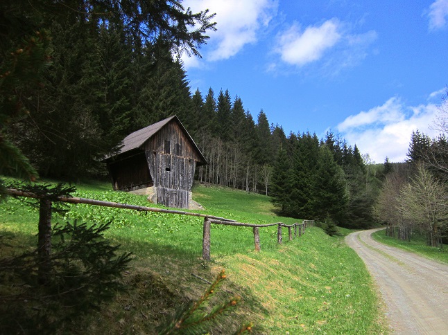 Foto: Andreas Koller / Wandertour / Kraxelspaß über der Kleinveitschalm (1628m) / 06.07.2023 13:17:35