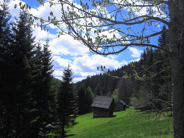 Foto: Andreas Koller / Wandertour / Kraxelspaß über der Kleinveitschalm (1628m) / 06.07.2023 13:17:25