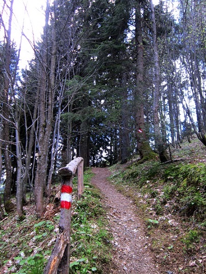 Foto: Andreas Koller / Wandertour / Kraxelspaß über der Kleinveitschalm (1628m) / 06.07.2023 13:17:15