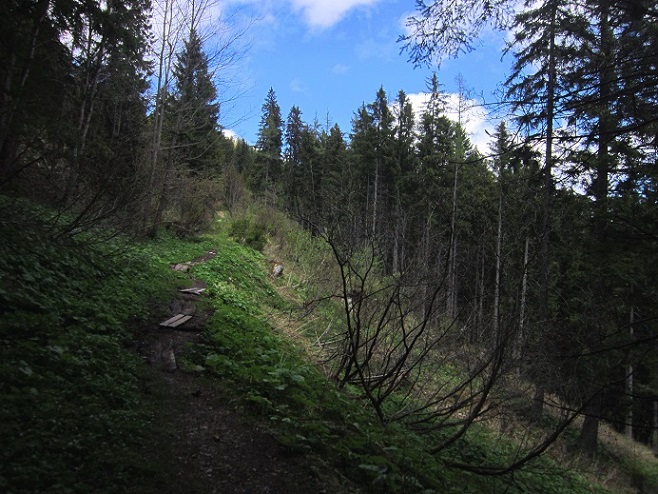 Foto: Andreas Koller / Wandertour / Kraxelspaß über der Kleinveitschalm (1628m) / 06.07.2023 13:17:11