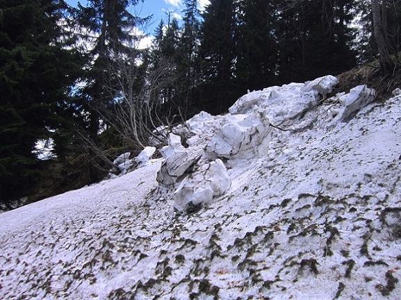 Foto: Andreas Koller / Wandertour / Kraxelspaß über der Kleinveitschalm (1628m) / 06.07.2023 13:16:52