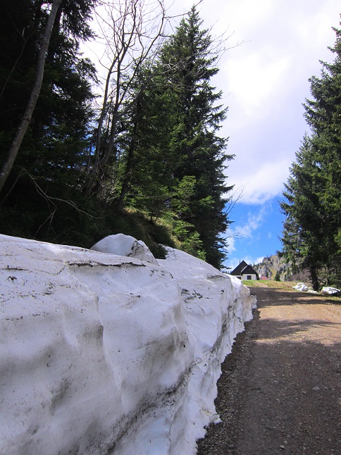Foto: Andreas Koller / Wandertour / Kraxelspaß über der Kleinveitschalm (1628m) / 06.07.2023 13:16:47