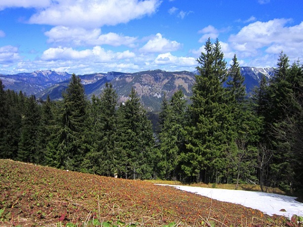 Foto: Andreas Koller / Wandertour / Kraxelspaß über der Kleinveitschalm (1628m) / 06.07.2023 13:16:42