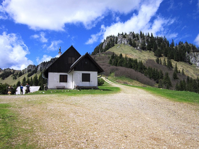 Foto: Andreas Koller / Wandertour / Kraxelspaß über der Kleinveitschalm (1628m) / Grundbauernhütte / 06.07.2023 13:16:37
