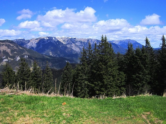 Foto: Andreas Koller / Wandertour / Kraxelspaß über der Kleinveitschalm (1628m) / 06.07.2023 13:16:27
