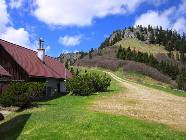 Foto: Andreas Koller / Wandertour / Kraxelspaß über der Kleinveitschalm (1628m) / 06.07.2023 13:15:46