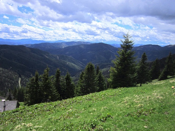 Foto: Andreas Koller / Wandertour / Kraxelspaß über der Kleinveitschalm (1628m) / 06.07.2023 13:15:29
